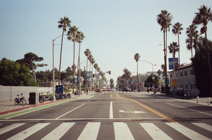 A sunny California street lined with palm trees
